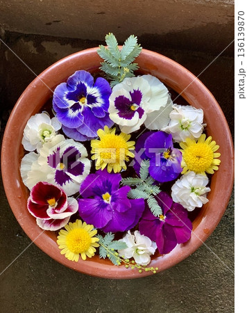 1月のカラフルな花手水(パンジー・ストック・ゴールデンマルグリット)〈菅生神社/愛知県岡崎市〉 1月のカラフルな花手水(パンジー・ストック・ゴールデンマルグリット)〈菅生神社/愛知県岡崎市〉 136139870