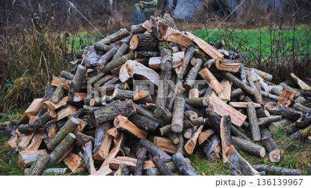 Unloading firewood and throwing it in a pile. Close-up. Unloading firewood and throwing it in a pile. Close-up. 136139967