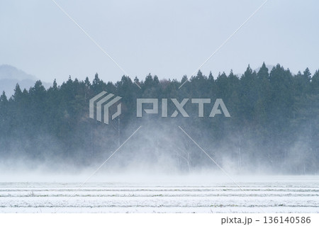 地吹雪と林の風景 b-2 寒色 地吹雪と林の風景 b-2 寒色 136140586