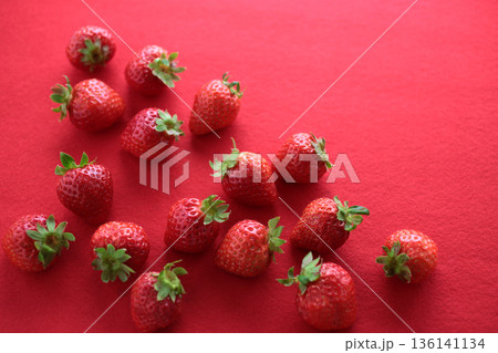 赤やピンクの背景で撮影した苺の集合写真 136141134