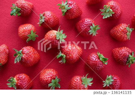 赤やピンクの背景で撮影した苺の集合写真 136141135