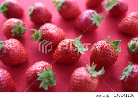 赤やピンクの背景で撮影した苺の集合写真 136141136