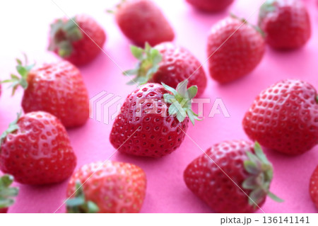 赤やピンクの背景で撮影した苺の集合写真 136141141