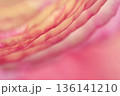 波のように並んだ花びら 136141210