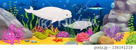 Cartoon sea animals and fish. Vibrant underwater vector scene with cartoon sea lions, fish, an eel, starfish, seaweed, and colorful corals. Playful seascape for kid games, and children's books 136141219
