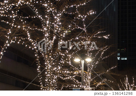 イルミネーション イルミネーション 136141298