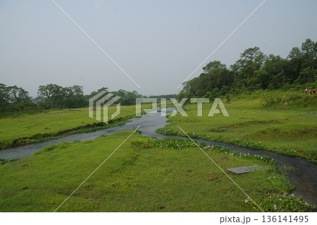 ネパール 世界遺産チトワン国立公園 ネパール 世界遺産チトワン国立公園 136141495