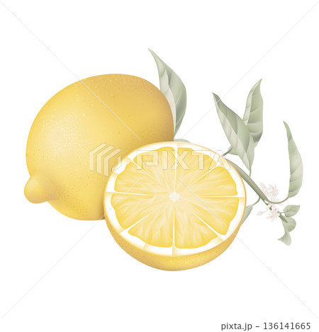 Fresh lemon and a slice portion with leaves on white 136141665