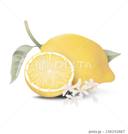 Fresh lemon and a slice portion with leaves on white Fresh lemon and a slice portion with leaves on white 136141667