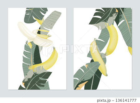 Fruit poster template design, ripe Cavendish bananas and leaves on white Fruit poster template design, ripe Cavendish bananas and leaves on white 136141777