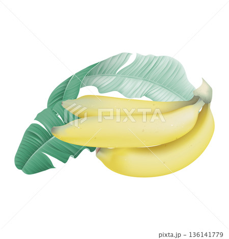 Ripe Cavendish bananas with leaves on white 136141779