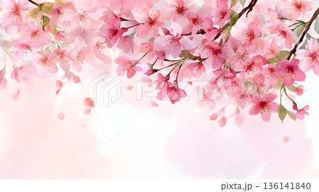 水彩風の桜背景 136141840