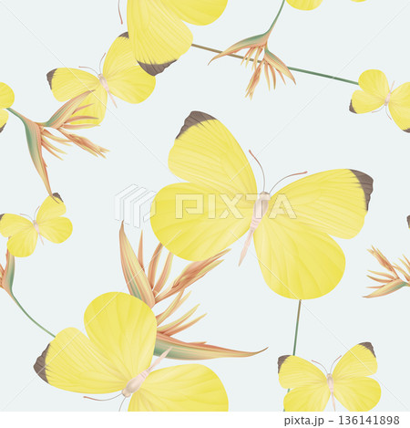 Animal seamless pattern, Eurema reticulata butterfly and heliconia flowers on bright blue Animal seamless pattern, Eurema reticulata butterfly and heliconia flowers on bright blue 136141898