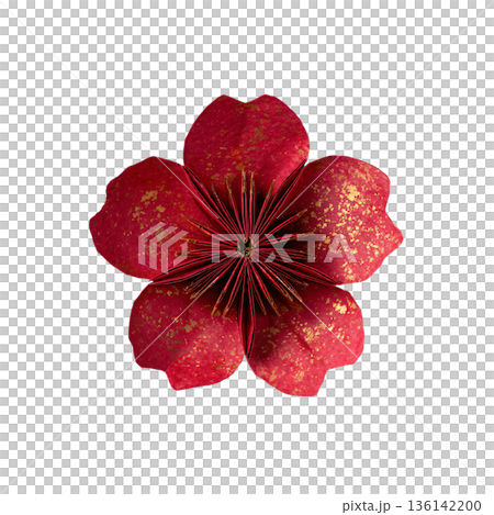 白色背景上的摺紙梅花 136142200