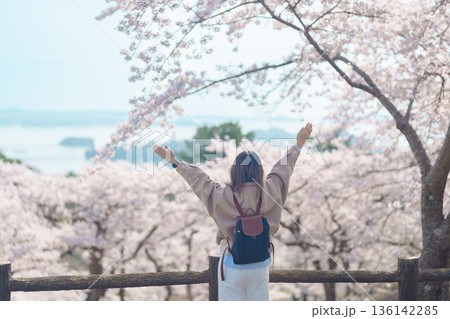 Woman tourist sightseeing Sakura Cherry Blossom in Spring. Happy traveler travel at Saigyo Modoshi no Matsu over Matsushima Bay in Matsushima, Miyagi Prefecture, Japan. Famous Landmark and Vacation Woman tourist sightseeing Sakura Cherry Blossom in Spring. Happy traveler travel at Saigyo Modoshi no Matsu over Matsushima Bay in Matsushima, Miyagi Prefecture, Japan. Famous Landmark and Vacation 136142285