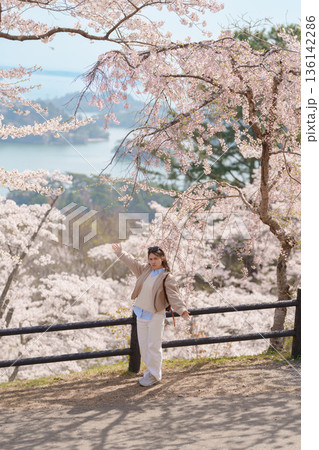 Woman tourist sightseeing Sakura Cherry Blossom in Spring. Happy traveler travel at Saigyo Modoshi no Matsu over Matsushima Bay in Matsushima, Miyagi Prefecture, Japan. Famous Landmark and Vacation 136142286