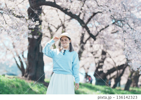 Woman tourist sightseeing Kitakami Tenshochi Park with Sakura Cherry Blossom in Spring, traveler travel in Kitakami festival, Iwate prefecture, Japan. Landmark for Travel and Vacation destination Woman tourist sightseeing Kitakami Tenshochi Park with Sakura Cherry Blossom in Spring, traveler travel in Kitakami festival, Iwate prefecture, Japan. Landmark for Travel and Vacation destination 136142323