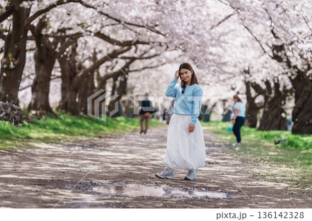 Woman tourist sightseeing Kitakami Tenshochi Park with Sakura Cherry Blossom in Spring, traveler travel in Kitakami festival, Iwate prefecture, Japan. Landmark for Travel and Vacation destination Woman tourist sightseeing Kitakami Tenshochi Park with Sakura Cherry Blossom in Spring, traveler travel in Kitakami festival, Iwate prefecture, Japan. Landmark for Travel and Vacation destination 136142328