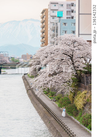 Woman tourist sightseeing Iwate mountain and Kitakami river with flowers in Spring, happy traveler travel in Morioka city, Iwate prefecture, Japan. famous Landmark Travel and Vacation destination Woman tourist sightseeing Iwate mountain and Kitakami river with flowers in Spring, happy traveler travel in Morioka city, Iwate prefecture, Japan. famous Landmark Travel and Vacation destination 136142332