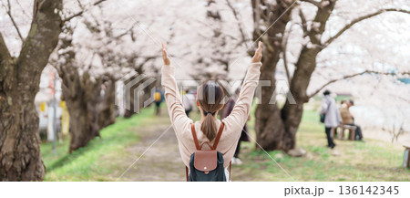 Woman tourist sightseeing Sakura Cherry Blossom in Spring. Happy traveler travel near Hinokinai River riverbank in Kakunodate town, Semboku District, Akita Prefecture, Japan. Landmark and Vacation Woman tourist sightseeing Sakura Cherry Blossom in Spring. Happy traveler travel near Hinokinai River riverbank in Kakunodate town, Semboku District, Akita Prefecture, Japan. Landmark and Vacation 136142345