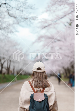 Woman tourist sightseeing Hirosaki Castle park with Sakura Cherry Blossom in Spring, traveler travel in Hirosaki city, Aomori, Tohoku, Japan. Landmark famous in Japan. Travel and Vacation destination Woman tourist sightseeing Hirosaki Castle park with Sakura Cherry Blossom in Spring, traveler travel in Hirosaki city, Aomori, Tohoku, Japan. Landmark famous in Japan. Travel and Vacation destination 136142367