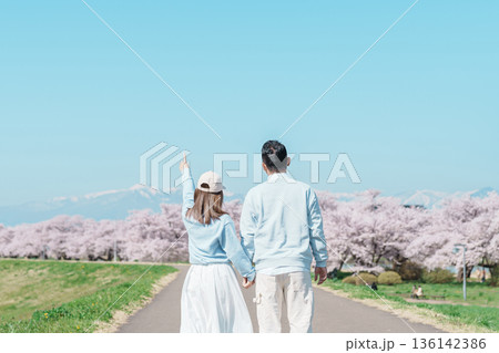 Couple tourist sightseeing Kitakami Tenshochi Park with Sakura Cherry Blossom in Spring, traveler travel in Kitakami festival, Iwate prefecture, Japan. Landmark for Travel and Vacation destination 136142386