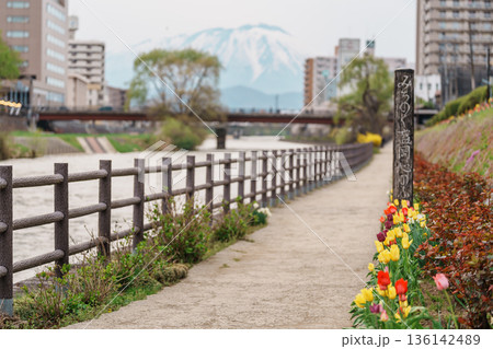 Beautiful Iwate mountain and Kitakami river with flowers blooming in Spring season, cityscape against blue sky in Morioka city, Iwate prefecture, Japan. famous Landmark Travel and Vacation destination 136142489