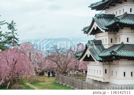 Beautiful Hirosaki Castle park with Sakura Cherry Blossom and Iwaki mount in Spring, traveling in Hirosaki city, Aomori, Tohoku, Japan. Landmark famous in Japan. Travel and Vacation destination 136142511