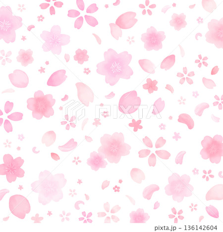 水彩風のかわいい桜の舞い散る背景_背景なし_正方形 136142604