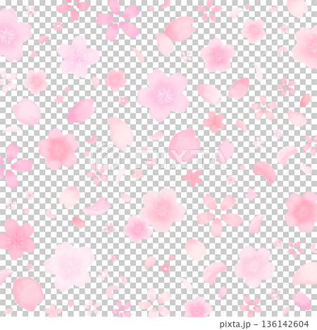 水彩風のかわいい桜の舞い散る背景_背景なし_正方形 136142604