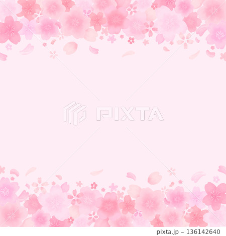 水彩風のかわいい桜の舞い散るフレーム_上下_正方形 水彩風のかわいい桜の舞い散るフレーム_上下_正方形 136142640