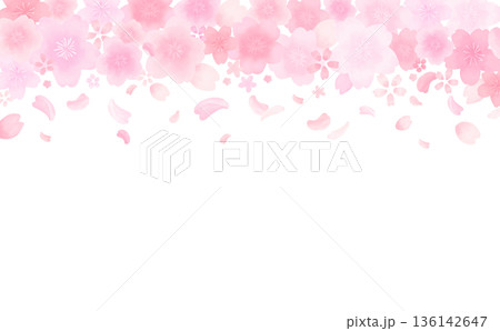 水彩風のかわいい桜の舞い散るフレーム_上_背景なし_横 水彩風のかわいい桜の舞い散るフレーム_上_背景なし_横 136142647