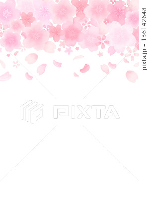 水彩風のかわいい桜の舞い散るフレーム_上_背景なし_縦 136142648
