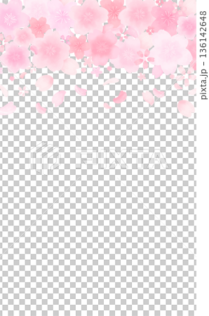 水彩風のかわいい桜の舞い散るフレーム_上_背景なし_縦 136142648