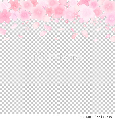 Watercolor style cute cherry blossom frame_top_no background_square Watercolor style cute cherry blossom frame_top_no background_square 136142649