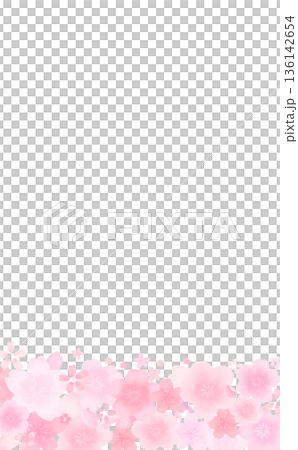 Watercolor style cute cherry blossom frame _ bottom _ no background _ vertical Watercolor style cute cherry blossom frame _ bottom _ no background _ vertical 136142654