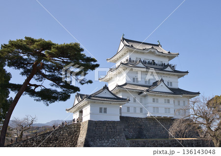 小田原城天守閣 136143048