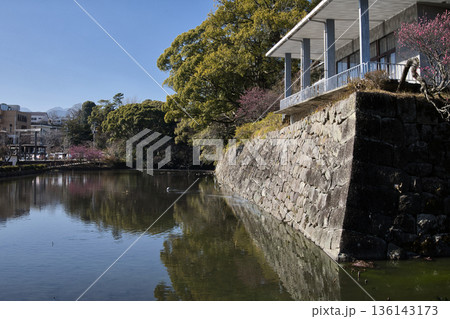 小田原城南堀 小田原城南堀 136143173