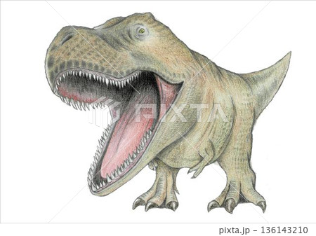 迫力ティラノサウルスのイラスト 136143210