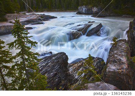 Natural Bridge Rushing River and Evergreen Forest in Yoho Canada 136143236