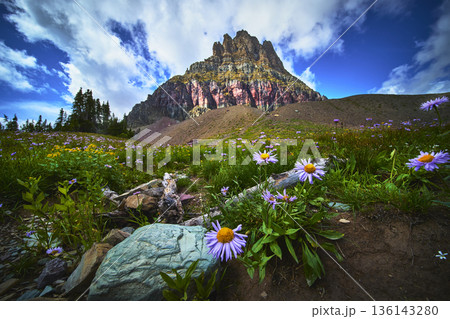 Wildflowers and Rocky Meadow Framing Dramatic Mountain Under Blue Sky 136143280