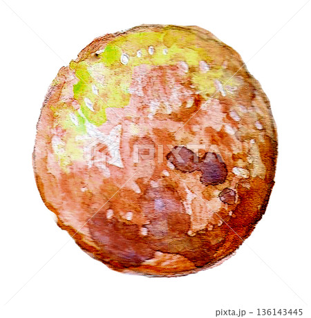 水彩で描いたトリュフチョコ 136143445