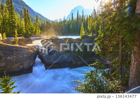 Natural Bridge Rushing River and Pine Forest at Sunrise with Mountain in Background 136143477