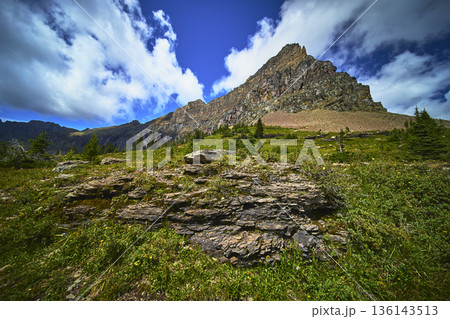Rocky Mountain Peak and Wildflower Meadow Under Bright Sky Rocky Mountain Peak and Wildflower Meadow Under Bright Sky 136143513