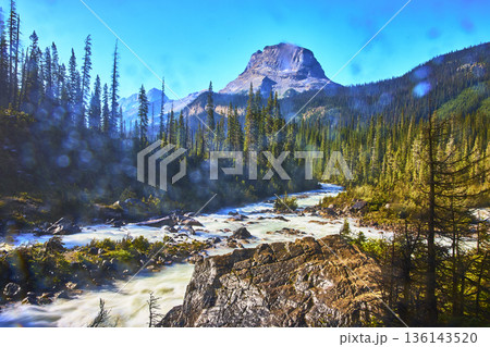 Majestic Mountain River Flowing Through Evergreen Forest Under Clear Blue Sky 136143520