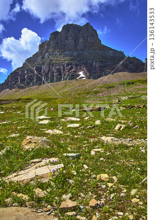 Mountain Peak and Wildflower Meadow Under Blue Sky in Summer Mountain Peak and Wildflower Meadow Under Blue Sky in Summer 136143533