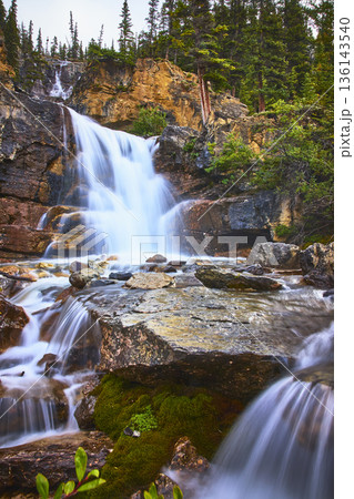 Tangle Falls Waterfall Flowing Over Rocks Surrounded by Forest in Jasper National Park Tangle Falls Waterfall Flowing Over Rocks Surrounded by Forest in Jasper National Park 136143540
