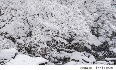 佐見川峡（冬） 136143686