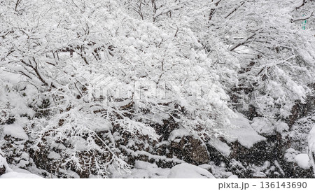 佐見川峡（冬） 136143690