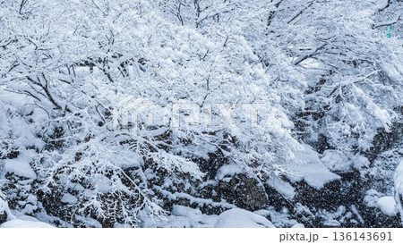 佐見川峡（冬） 136143691